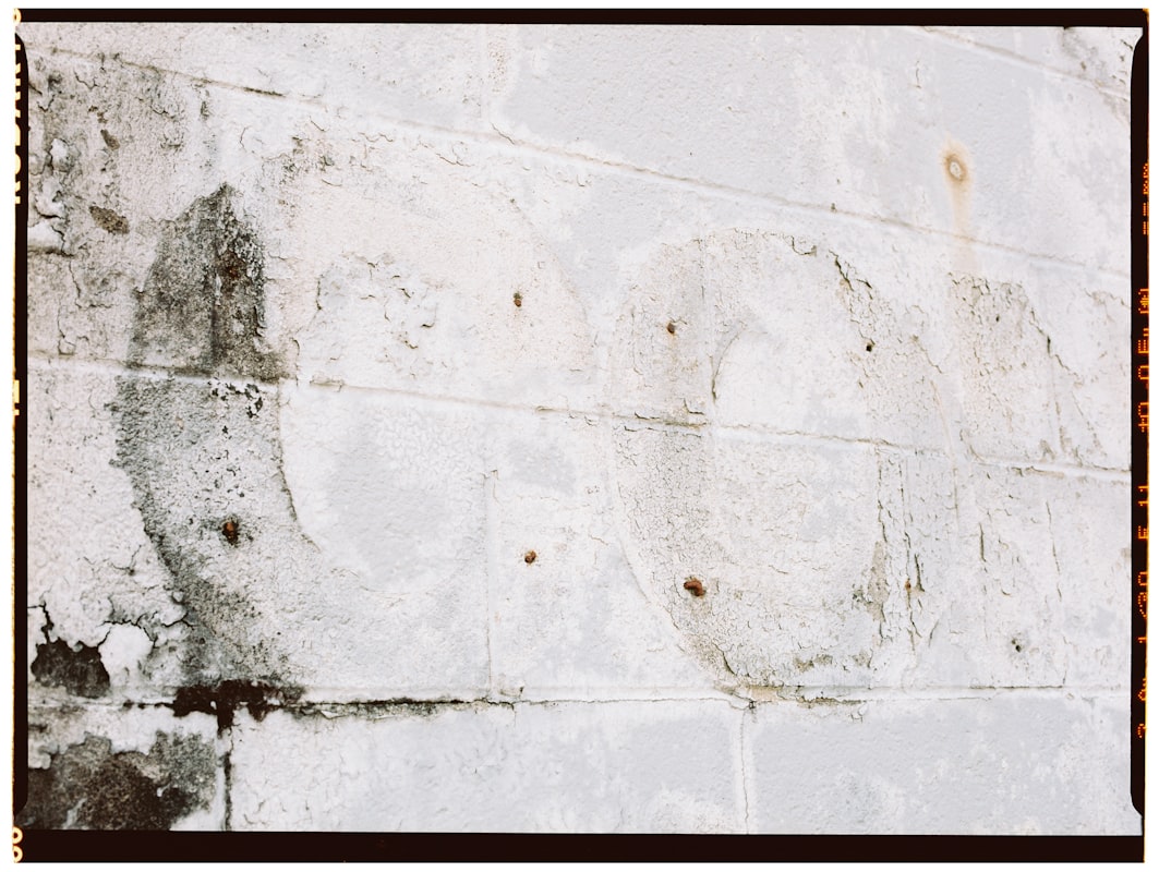 Mold Remediation service in Federal Way, WA