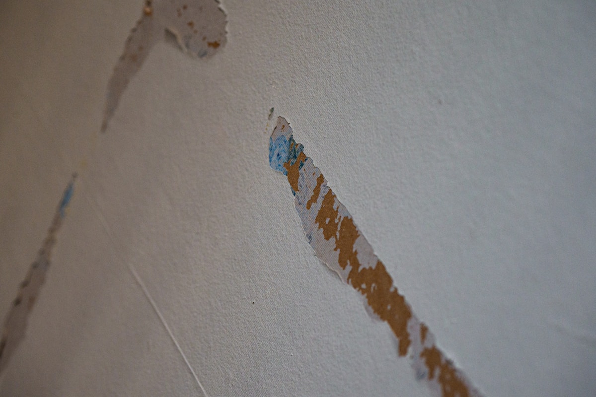 Structural Drying service in Federal Way, WA